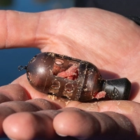 Preston Innovations Carp Maggot Feeders